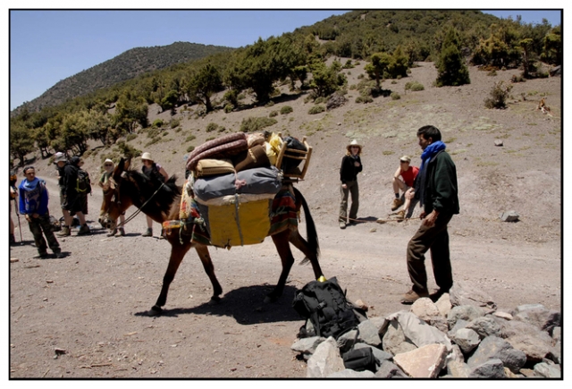 toubkal 65 kim.jpg